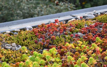 the cost of Kessingland Beach green roof installation