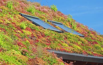 Kessingland Beach living roof systems